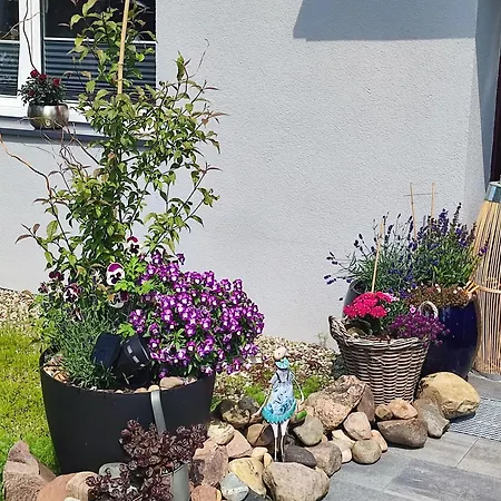 Orlowo Apartmán *