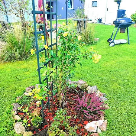 Orlowo Apartamento *