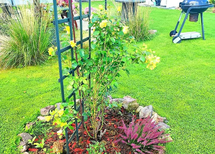 Orlowo Apartamento *